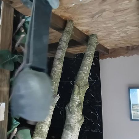 La Grange De Paul Au Domaine Du Reuze Lejlighed Winnezeele Eksteriør billede